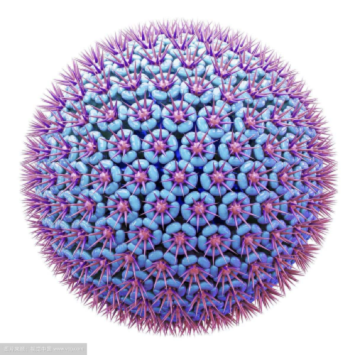 病毒衣壳 3D 渲染：紫色与蓝色尖刺