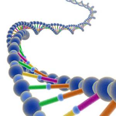 DNA 双螺旋 3D 渲染